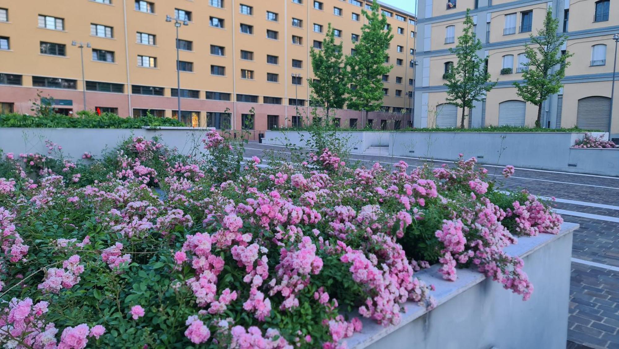Milan Space Loft - Apartment Close To M5 Subway - Free Parking - Sky & Netflix Tv Extérieur photo